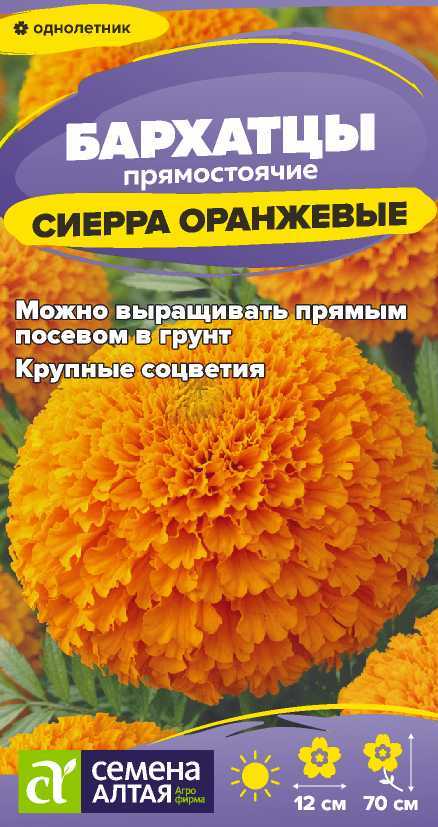 00-00034007