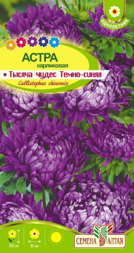Тысяча чудес темно-синяя