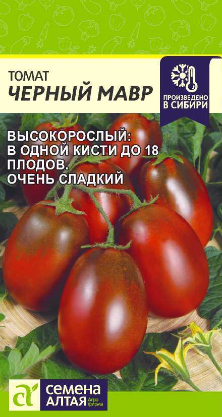 Томат черный мавр