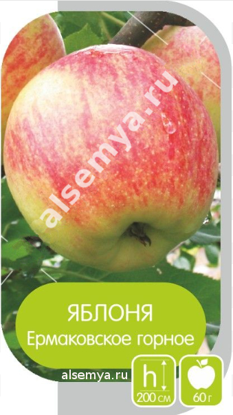 Ермаковское