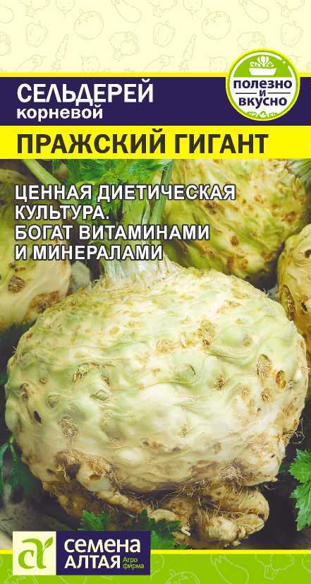 Пражский сельдерей