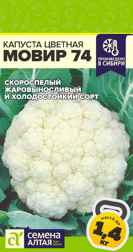 00010018769