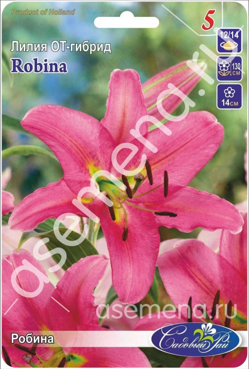Робина