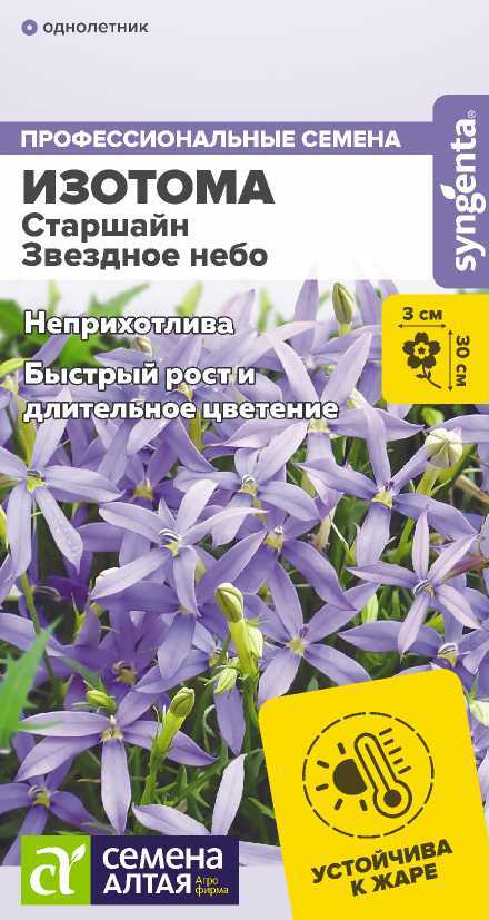 Изотома Старшайн