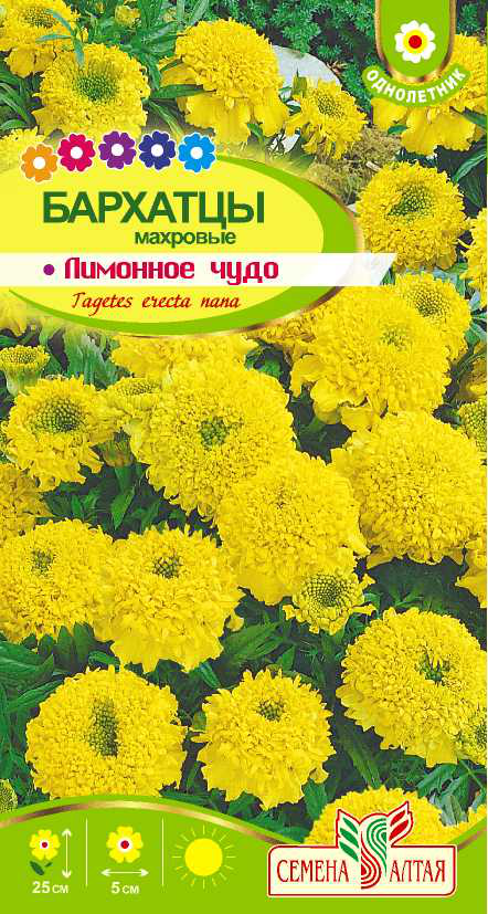 Лимонное чудо