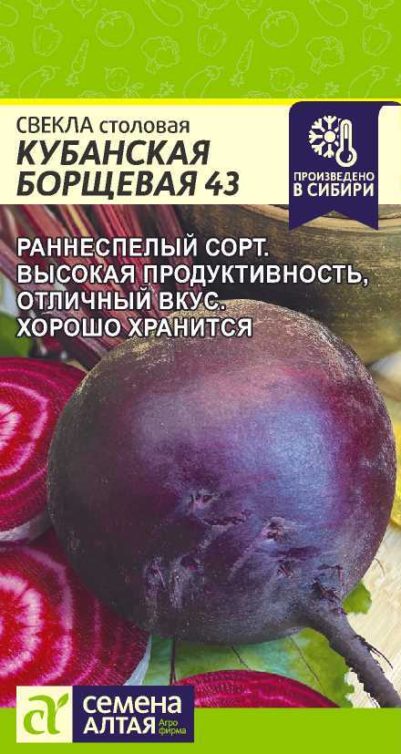 Свекла Кубанская борщевая