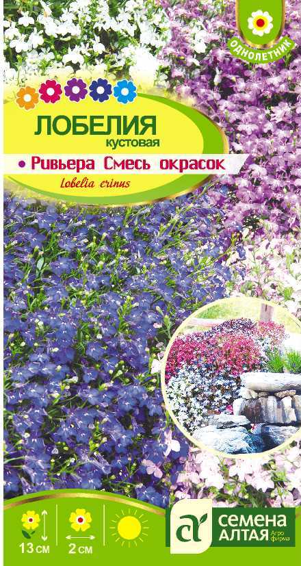 Ривьера смесь