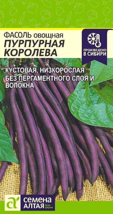 Пурпурная королева