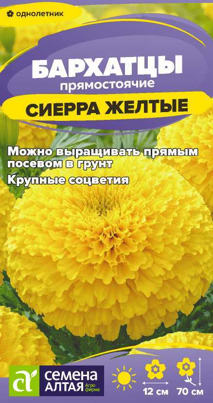 00-00034005