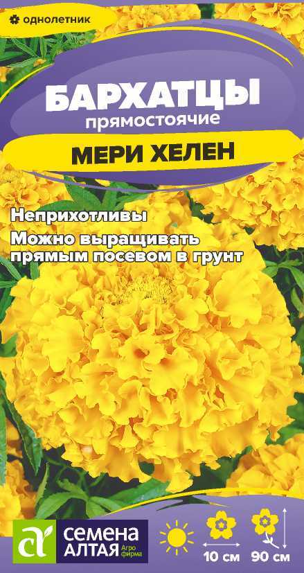 00-00034339