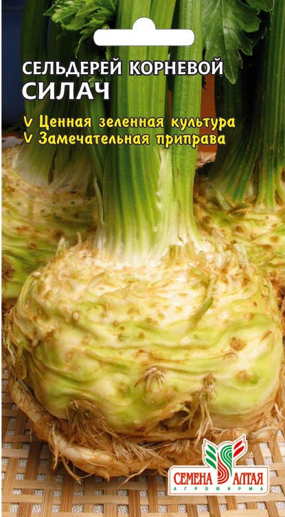 Сельдерей Силач корневой