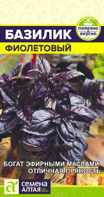 Базилик Фиолетовый