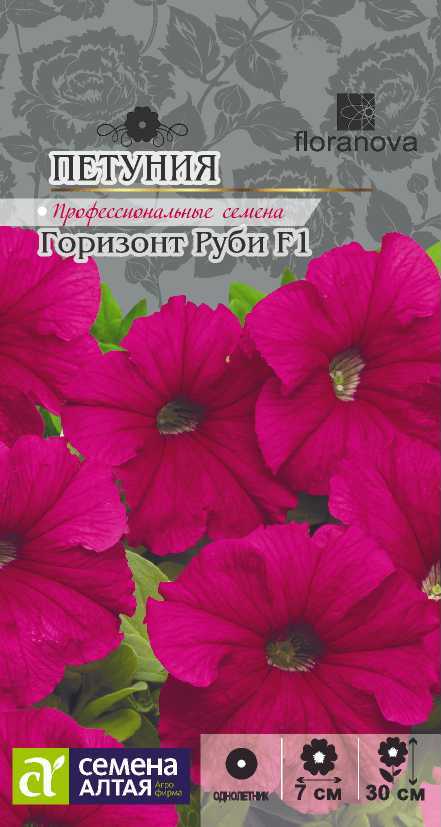 Горизонт Руби цп