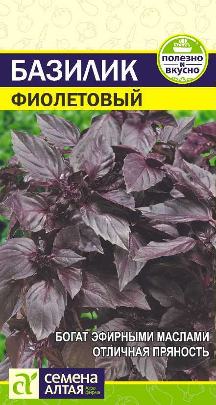Базилик фиолетовый цп