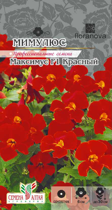 Мимулюс максимус красный