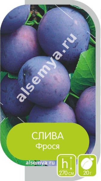 Фрося