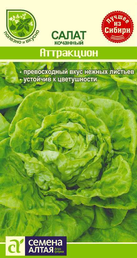 Салат Аттракцион цп