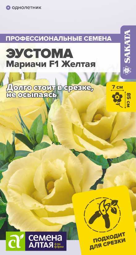 eustoma-mariach-zheltaya