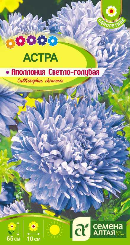 аполлония светло-голубая цп
