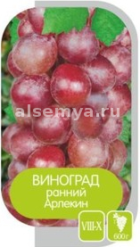 Арлекин2