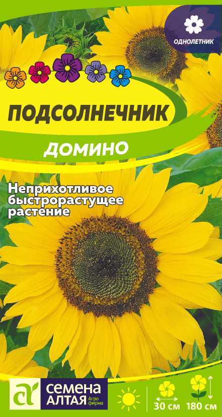 00010021844