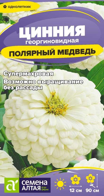 Цинния полярный медведь