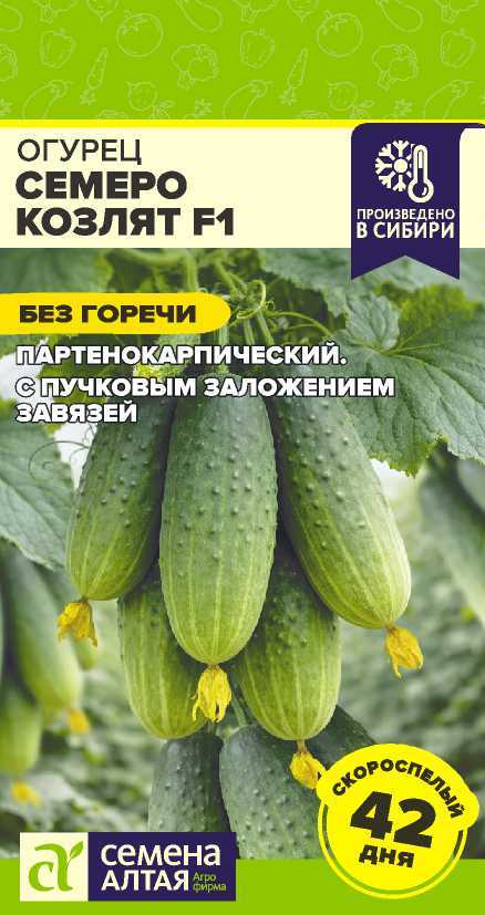 00-00033889