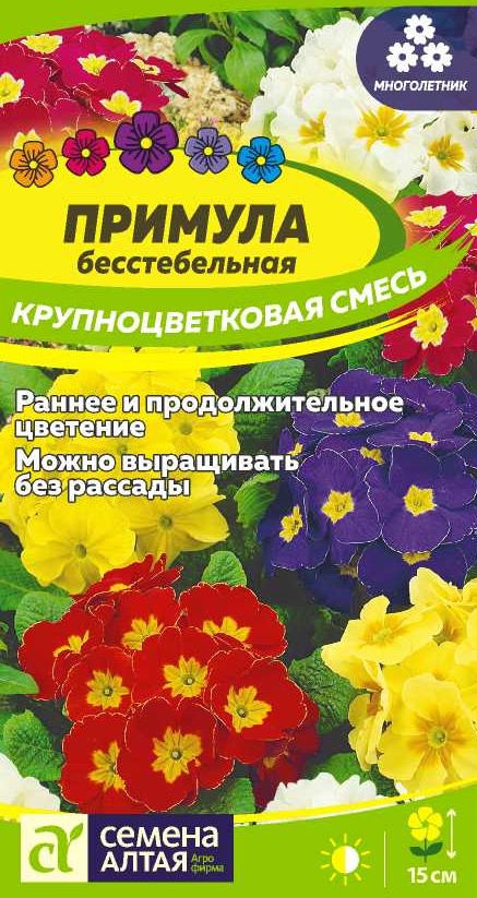 Примула крупноцветковая смесь