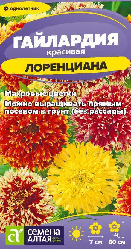 Гайлардия Лоренциана