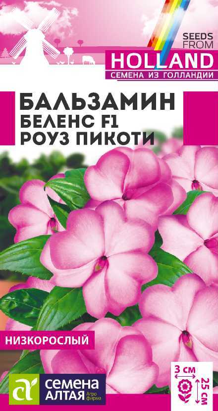 Бальзамин беленс роуз пикоти