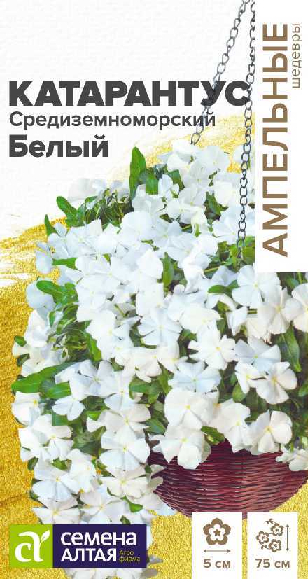 katarantus-belyi