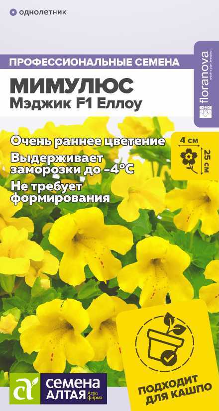 Мимулюс мэджик еллоу