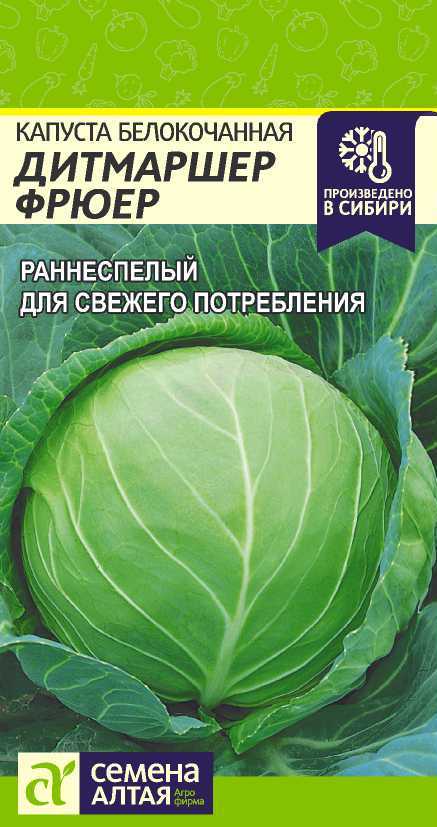 Дитмаршер Фрюер цп