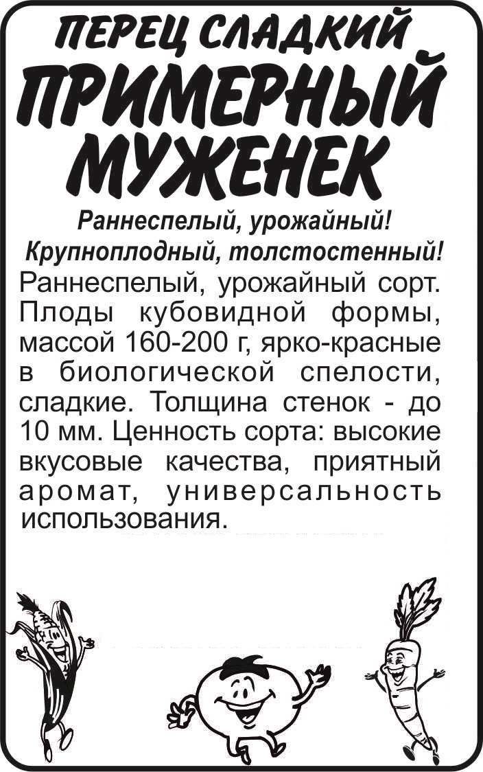 Примерный муженек бп