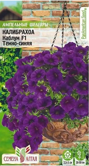 Калибрахоа темно-синяя