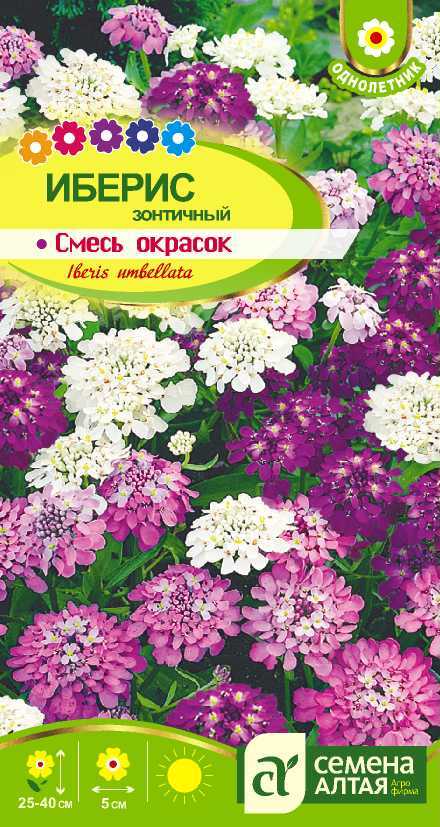 Иберис смесь цп