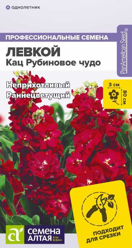 Левкой кац рубиновый