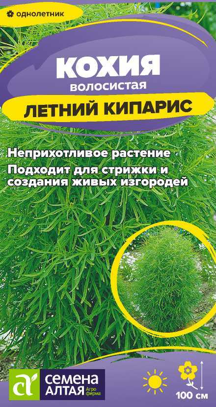 Кохия