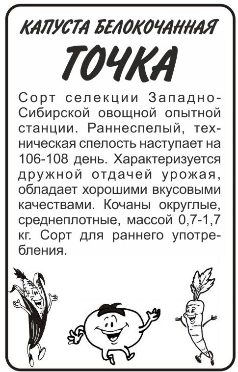 Точка бп