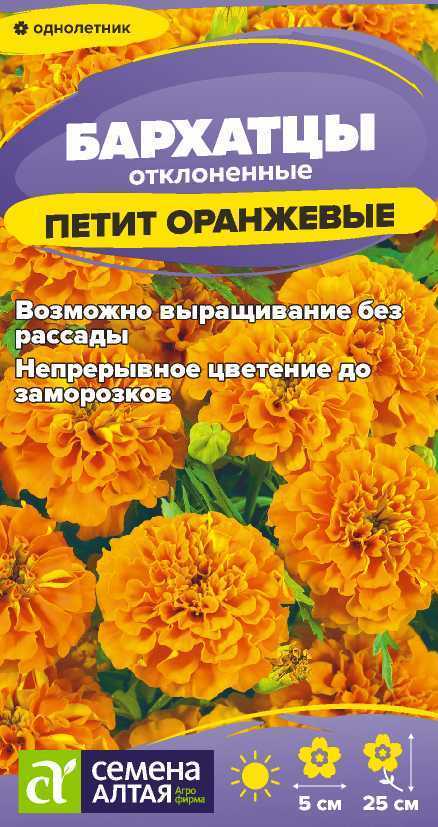 Бархатцы Петит оранжевые