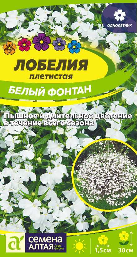 Лобелия белый фонтан