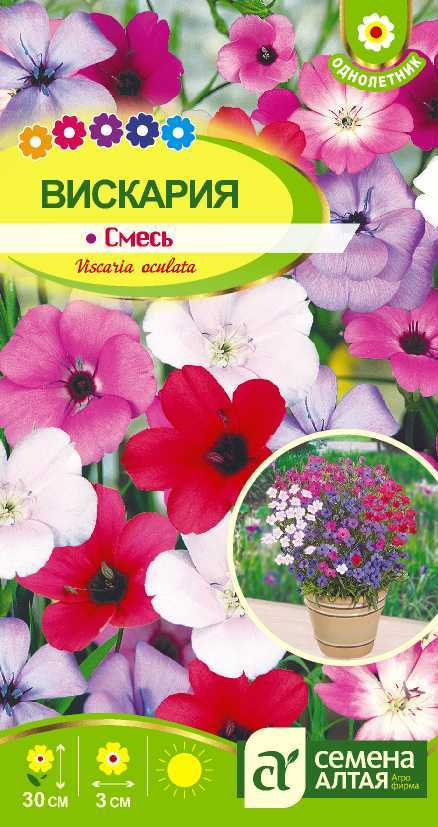 Вискария цп