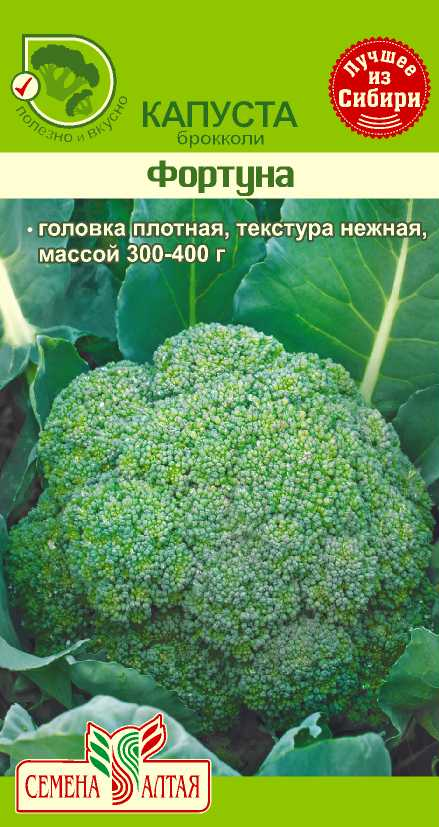 Фортуна