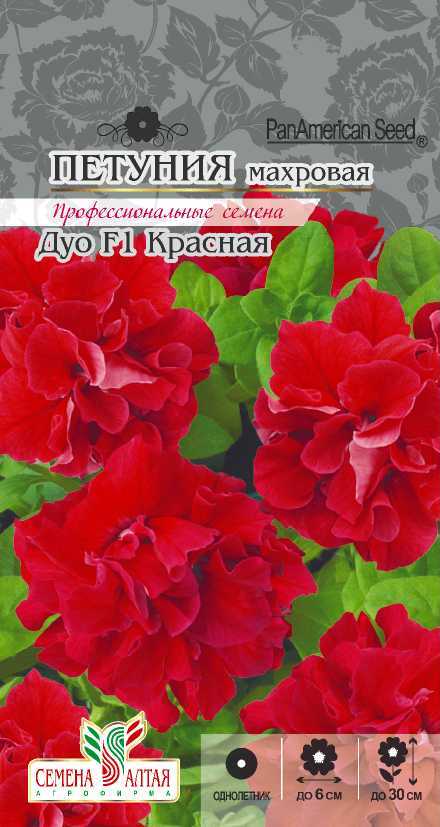 Красная дуо