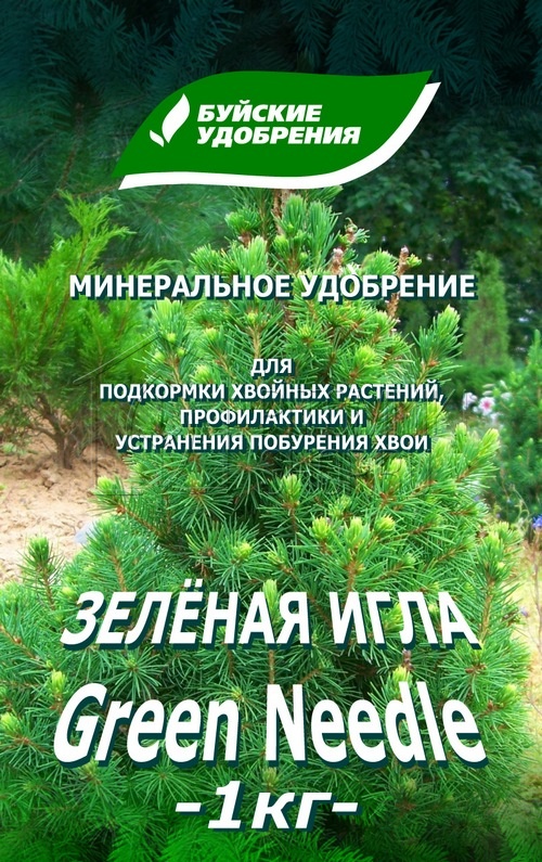 Зеленая игла