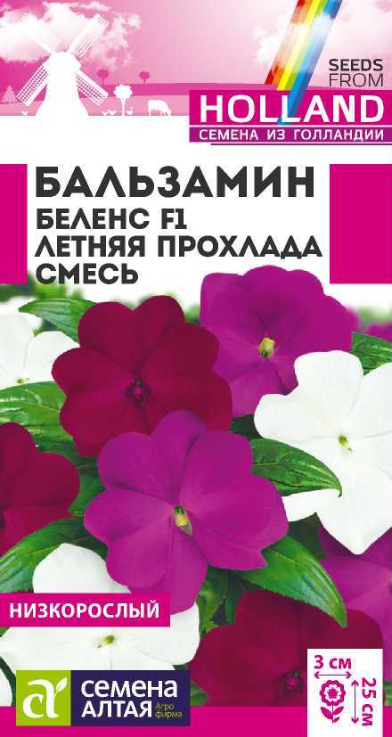 Бальзамин беленс летняя прохлада