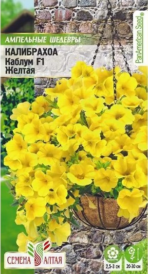 Калибрахоа желтая