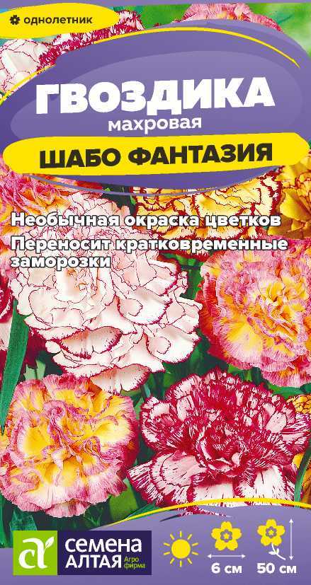 Гвоздика Фантазия шабо