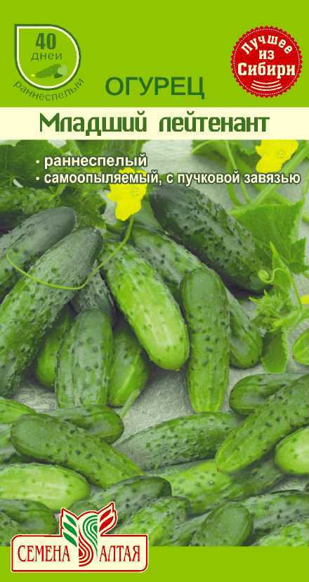Млад.лейтенант