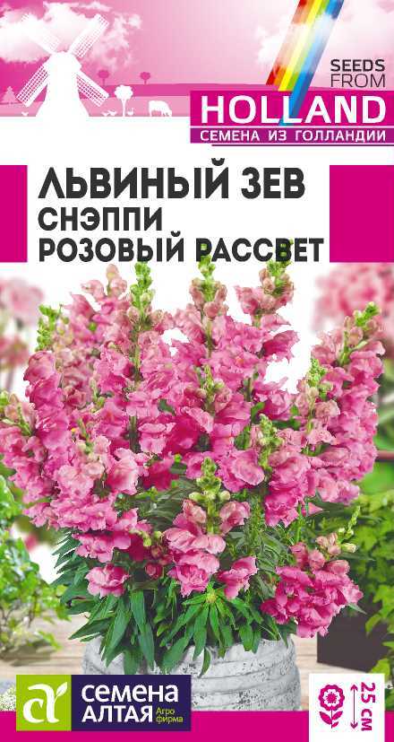 Сняппи розовый рассвет